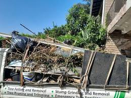 Best Residential Junk Removal  in Plainville, KS